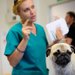 Hera's Clinic Vet - Clinica Veterinara